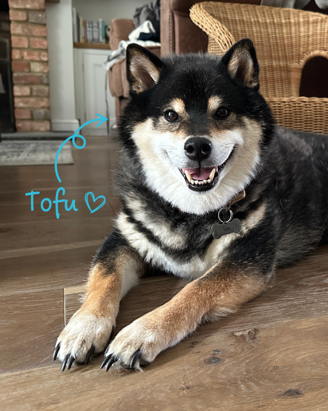 Tofu