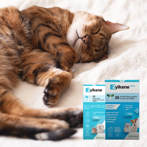 Products Tiles for website